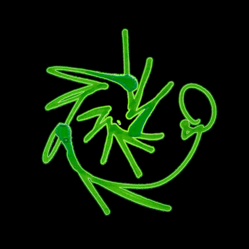 Green Spiral 9